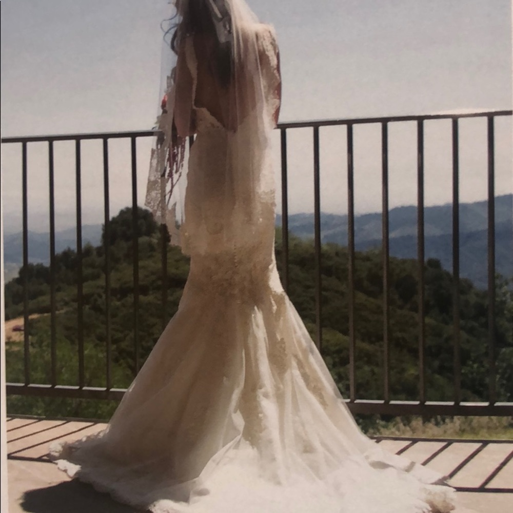 Paloma Blanca Bridal Gown & veil